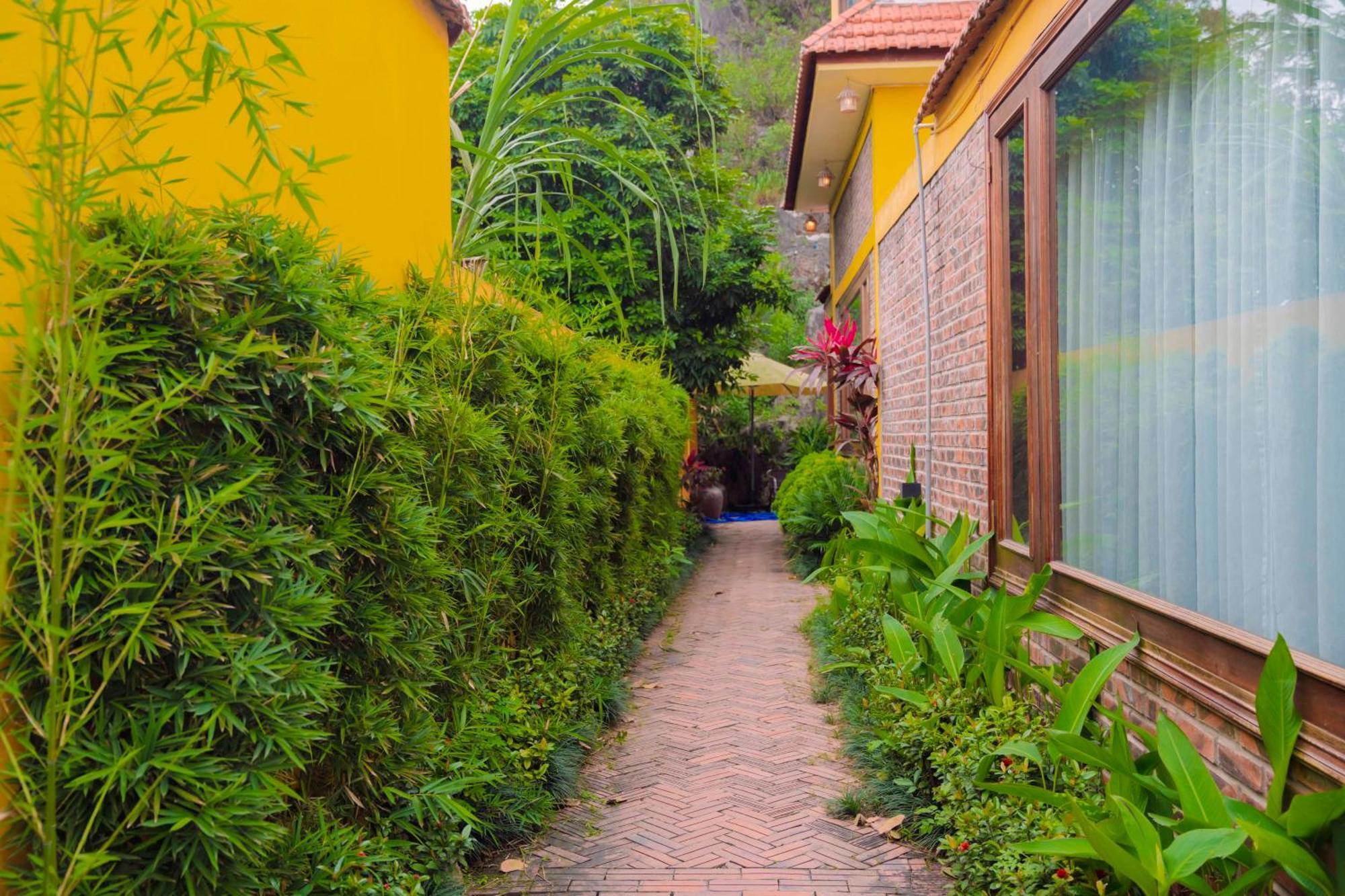 Papaya Bungalow & Rice Fields Apartment Ninh Binh Exterior photo