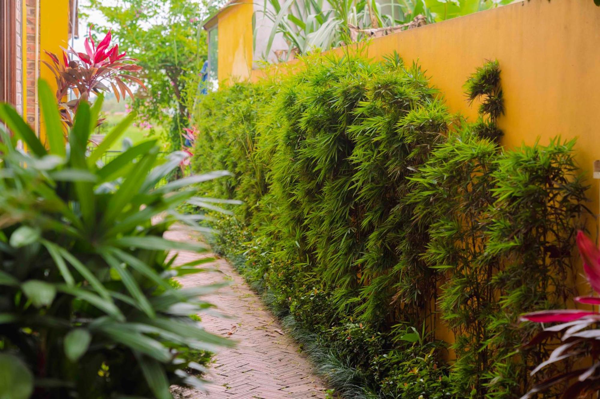 Papaya Bungalow & Rice Fields Apartment Ninh Binh Exterior photo